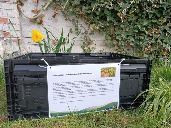 Sammelaktion Blumenzwiebeln